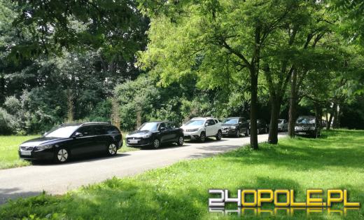 Samochody niszczą "zielone płuca" Opola. Mieszkańcy apelują o opamiętanie się