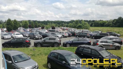 Samochody niszczą "zielone płuca" Opola. Mieszkańcy apelują o opamiętanie się