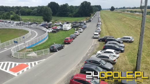 Samochody niszczą "zielone płuca" Opola. Mieszkańcy apelują o opamiętanie się