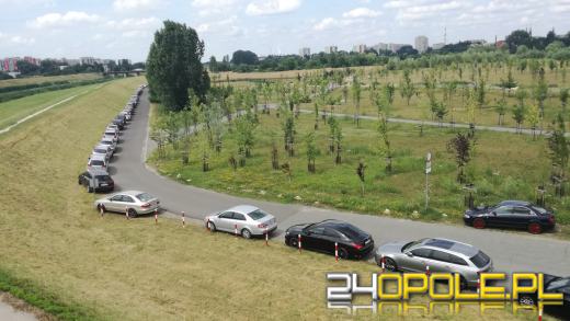 Samochody niszczą "zielone płuca" Opola. Mieszkańcy apelują o opamiętanie się