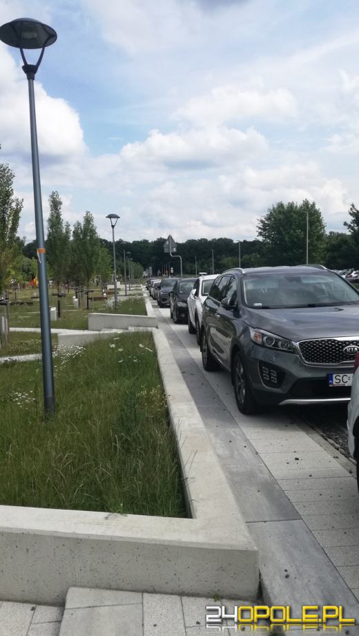 Samochody niszczą "zielone płuca" Opola. Mieszkańcy apelują o opamiętanie się