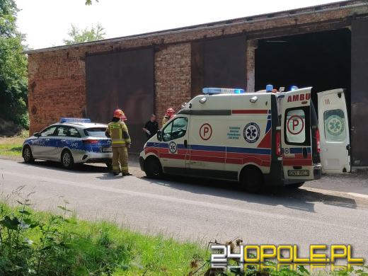 Wypadek w powiecie nyskim. Kierowca wjechał w drzewo