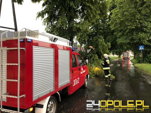 172 interwencje straży związanych z przejściem frontu burzowego