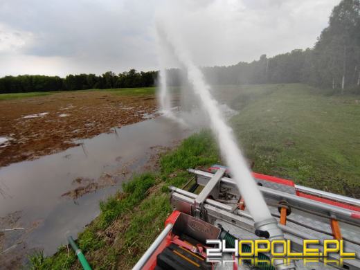 172 interwencje straży związanych z przejściem frontu burzowego