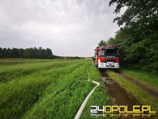 172 interwencje straży związanych z przejściem frontu burzowego