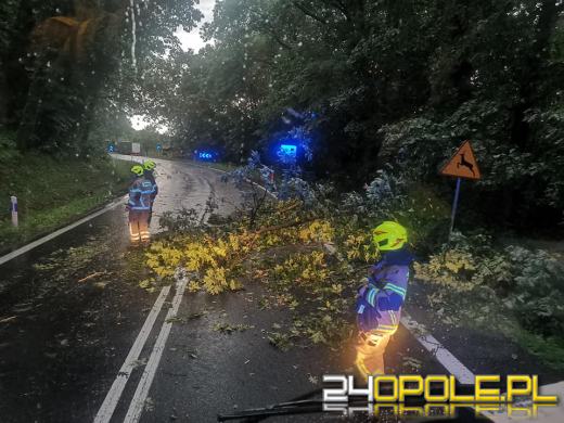 172 interwencje straży związanych z przejściem frontu burzowego