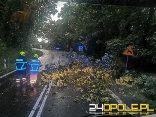 172 interwencje straży związanych z przejściem frontu burzowego