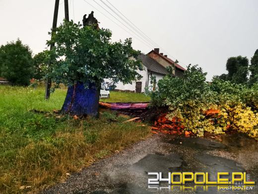 172 interwencje straży związanych z przejściem frontu burzowego