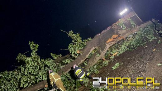 172 interwencje straży związanych z przejściem frontu burzowego