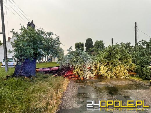 172 interwencje straży związanych z przejściem frontu burzowego