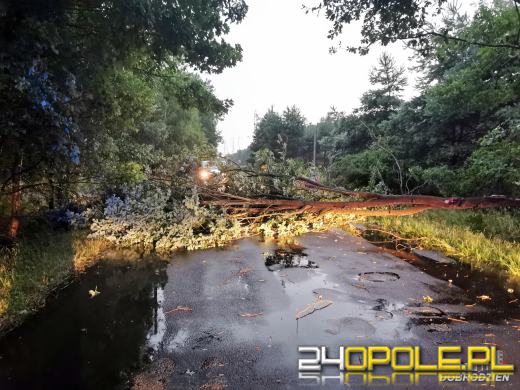 172 interwencje straży związanych z przejściem frontu burzowego