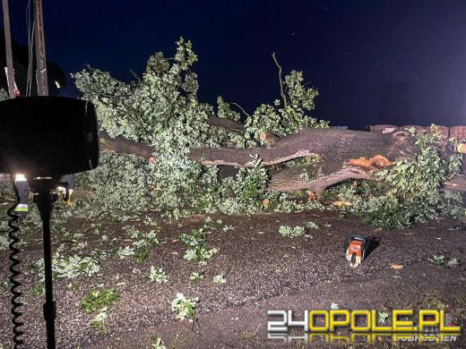 172 interwencje straży związanych z przejściem frontu burzowego