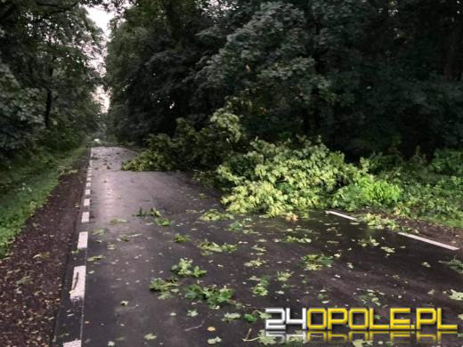 172 interwencje straży związanych z przejściem frontu burzowego
