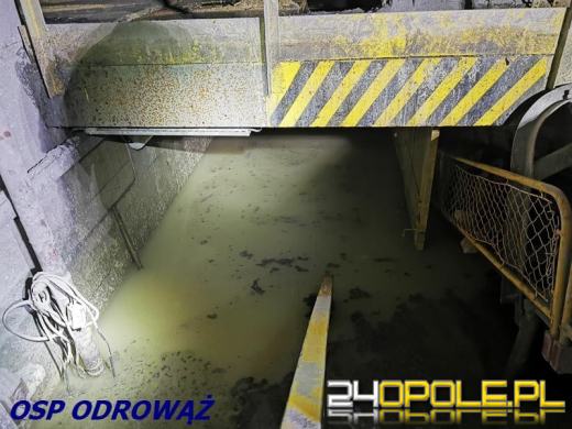 172 interwencje straży związanych z przejściem frontu burzowego