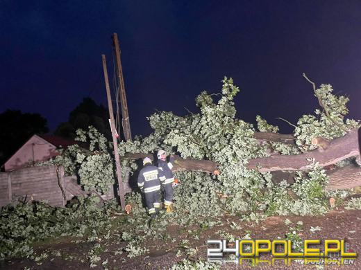 172 interwencje straży związanych z przejściem frontu burzowego