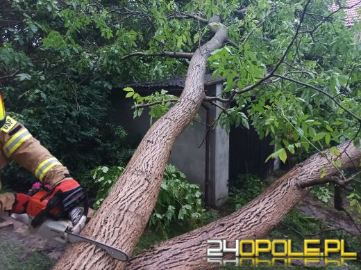 172 interwencje straży związanych z przejściem frontu burzowego