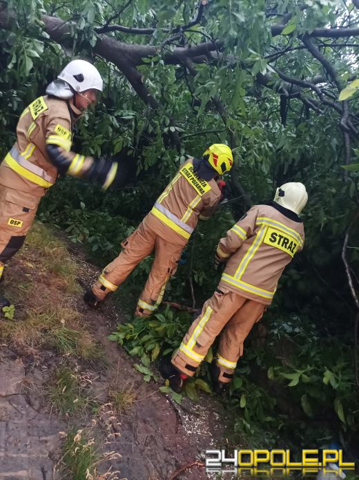 172 interwencje straży związanych z przejściem frontu burzowego
