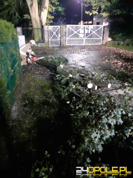 172 interwencje straży związanych z przejściem frontu burzowego