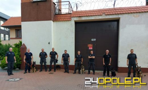 Rozpoznają m.in. przemycane środki odurzające czy narkotyki. Przeszły szkolenie