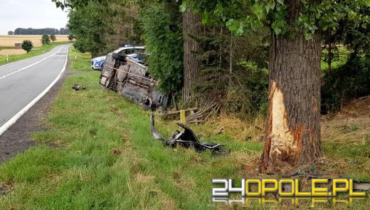 22-latek zasnął za kierownicą. Wjechał w drzewo