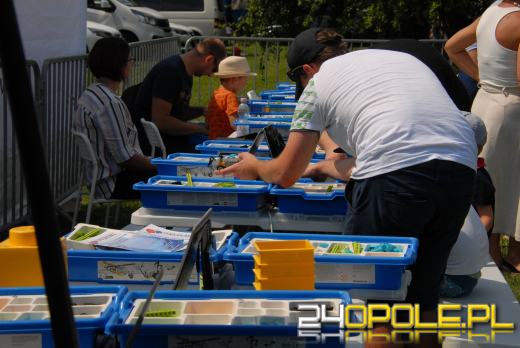 Trwa wakacyjny Piknik Rodzinny na Błoniach Politechniki Opolskiej