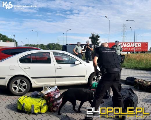 Funkcjonariusze KAS wykrywają próby nielegalnego przywozu narkotyków do kraju.