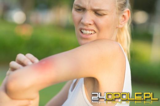 Co stosować na ugryzienia przez muchy końskie, meszki i komary?