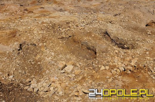 Trwa ekshumacja więziennego cmentarza w Strzelcach Opolskich