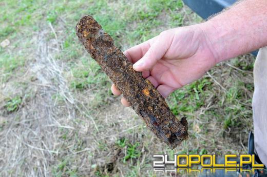 Trwa ekshumacja więziennego cmentarza w Strzelcach Opolskich