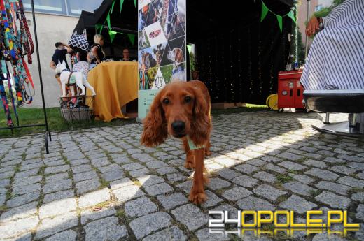 Za nami event charytatywny "Psie Party". Darczyńcy wykazali się dobrym sercem