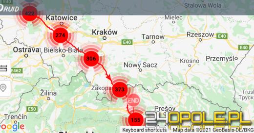 Bociany z Przysieczy mają nowe gniazda. Dwa wyruszyły już w drogę do Afryki