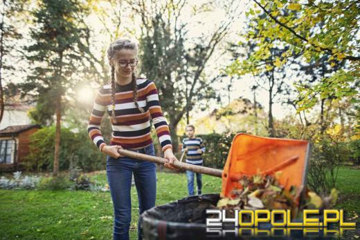 Co we wrześniu należy zrobić w ogrodzie? Czas poważnych porządków