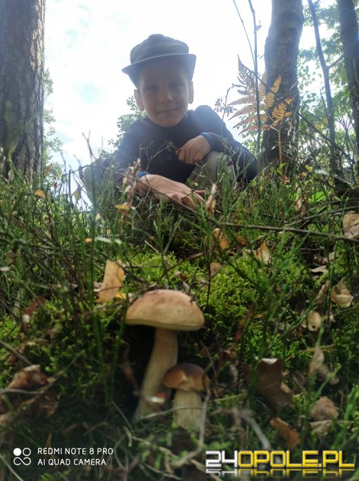 To było prawdziwe grzybobranie. Czytelnicy pochwalili się zbiorami