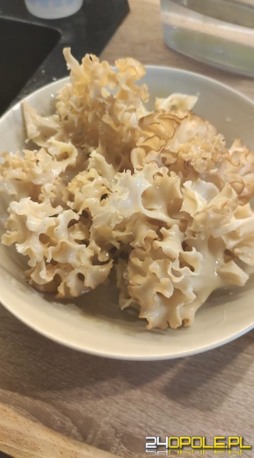 To było prawdziwe grzybobranie. Czytelnicy pochwalili się zbiorami