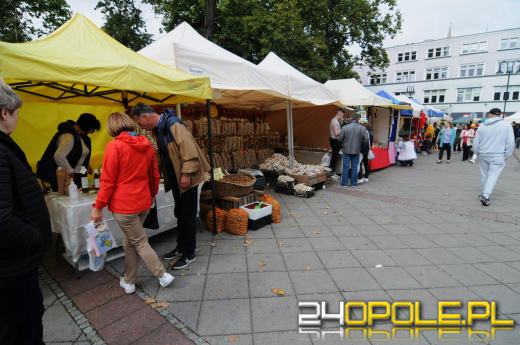 Rozpoczął się 21. Jarmark Franciszkański w Opolu