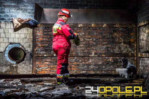 Strażacy ćwiczyli w starym browarze w Brzegu