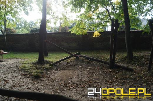 Demolka w parku Parafii Matki Bożej Bolesnej