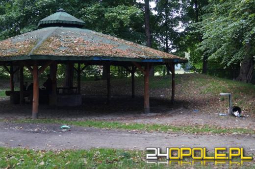 Demolka w parku Parafii Matki Bożej Bolesnej