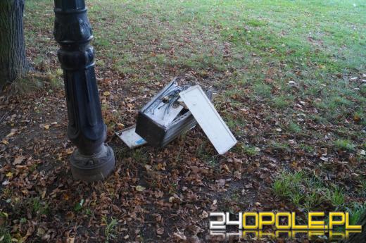 Demolka w parku Parafii Matki Bożej Bolesnej