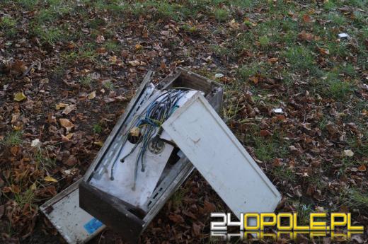 Demolka w parku Parafii Matki Bożej Bolesnej