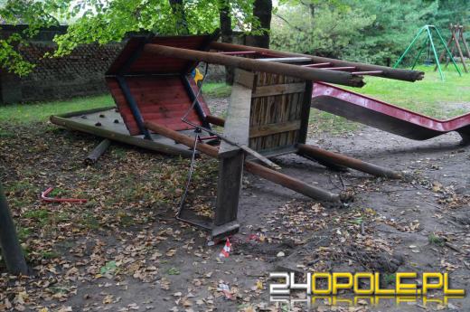 Demolka w parku Parafii Matki Bożej Bolesnej