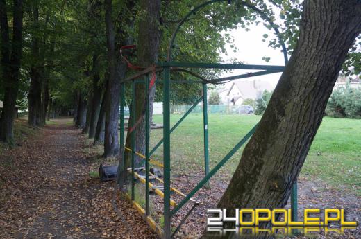 Demolka w parku Parafii Matki Bożej Bolesnej