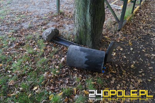 Demolka w parku Parafii Matki Bożej Bolesnej