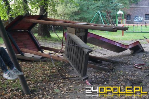 Demolka w parku Parafii Matki Bożej Bolesnej