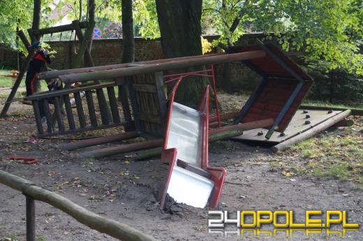 Demolka w parku Parafii Matki Bożej Bolesnej