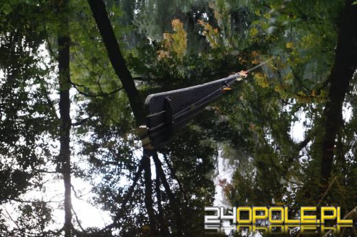 Demolka w parku Parafii Matki Bożej Bolesnej