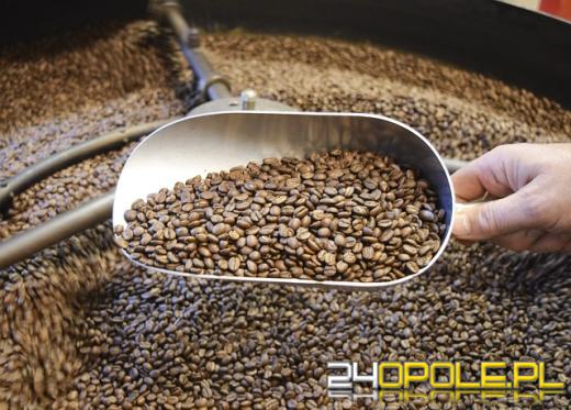 Czym są kawy speciality? Od czego rozpocząć swoją przygodę z kawą rzemieślniczą?