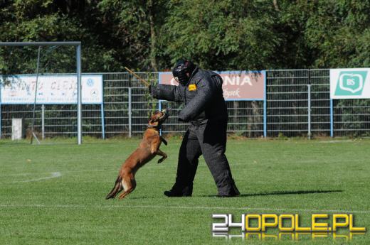 Trwa zbiórka dla 7-letniego Oliwierka