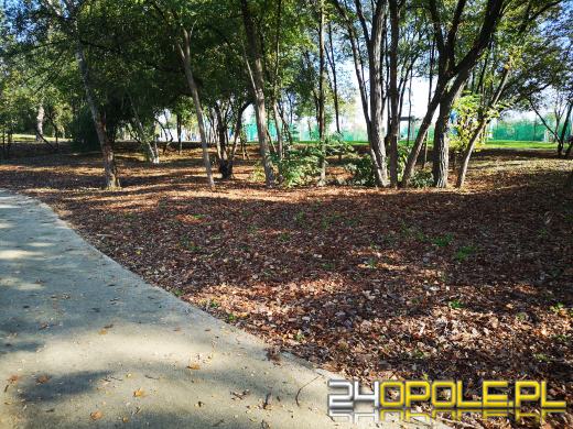 Oficjalnie otwarto zrewitalizowaną Kamionkę Piast 