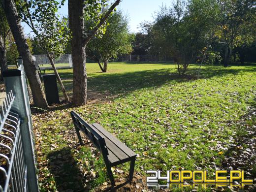 Oficjalnie otwarto zrewitalizowaną Kamionkę Piast 